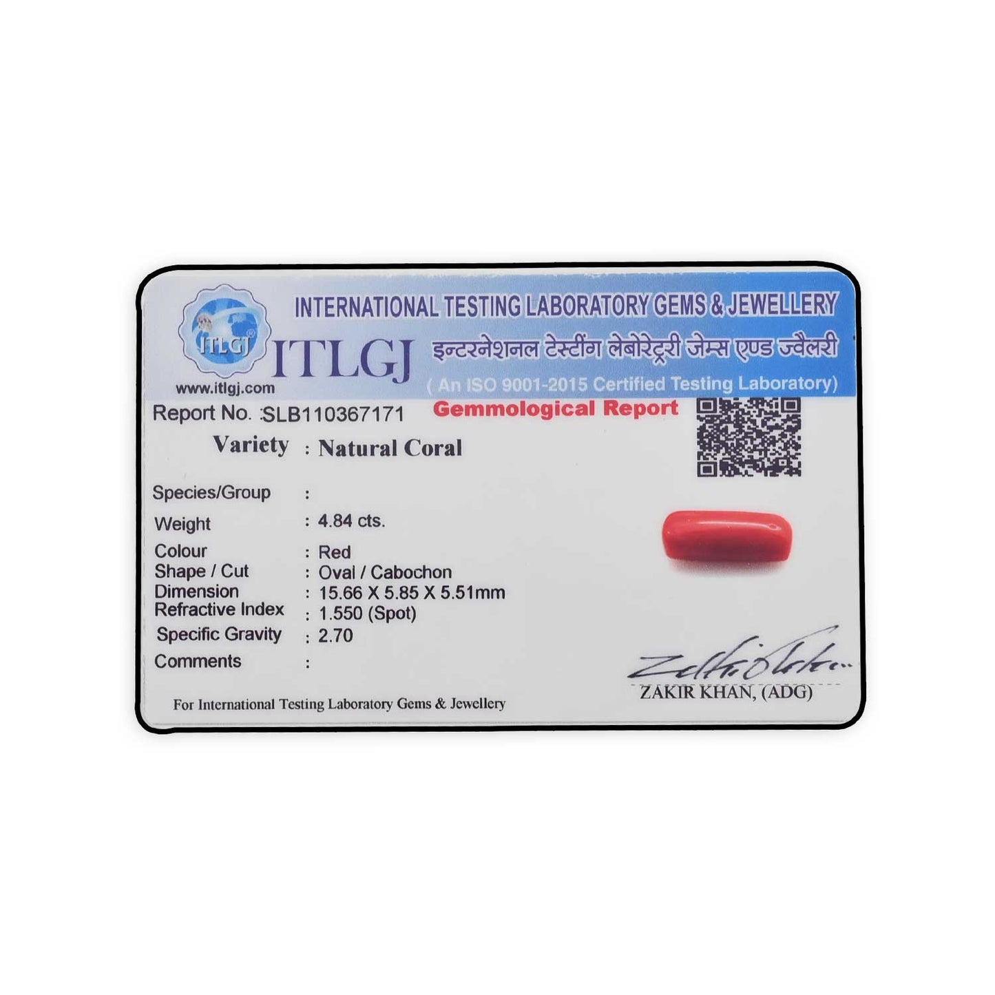 Red Coral (Moonga) - 4.84 Carat