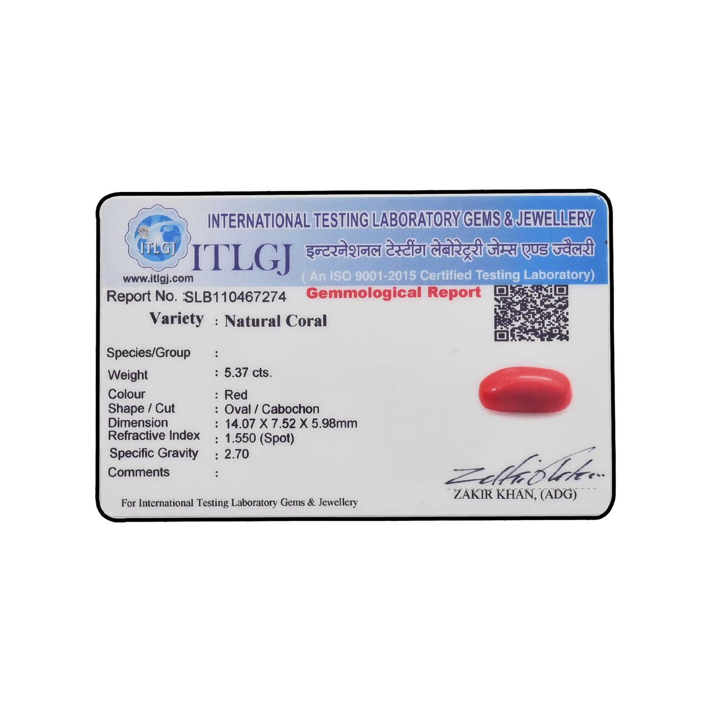 Red Coral (Moonga) - 5.37 Carat