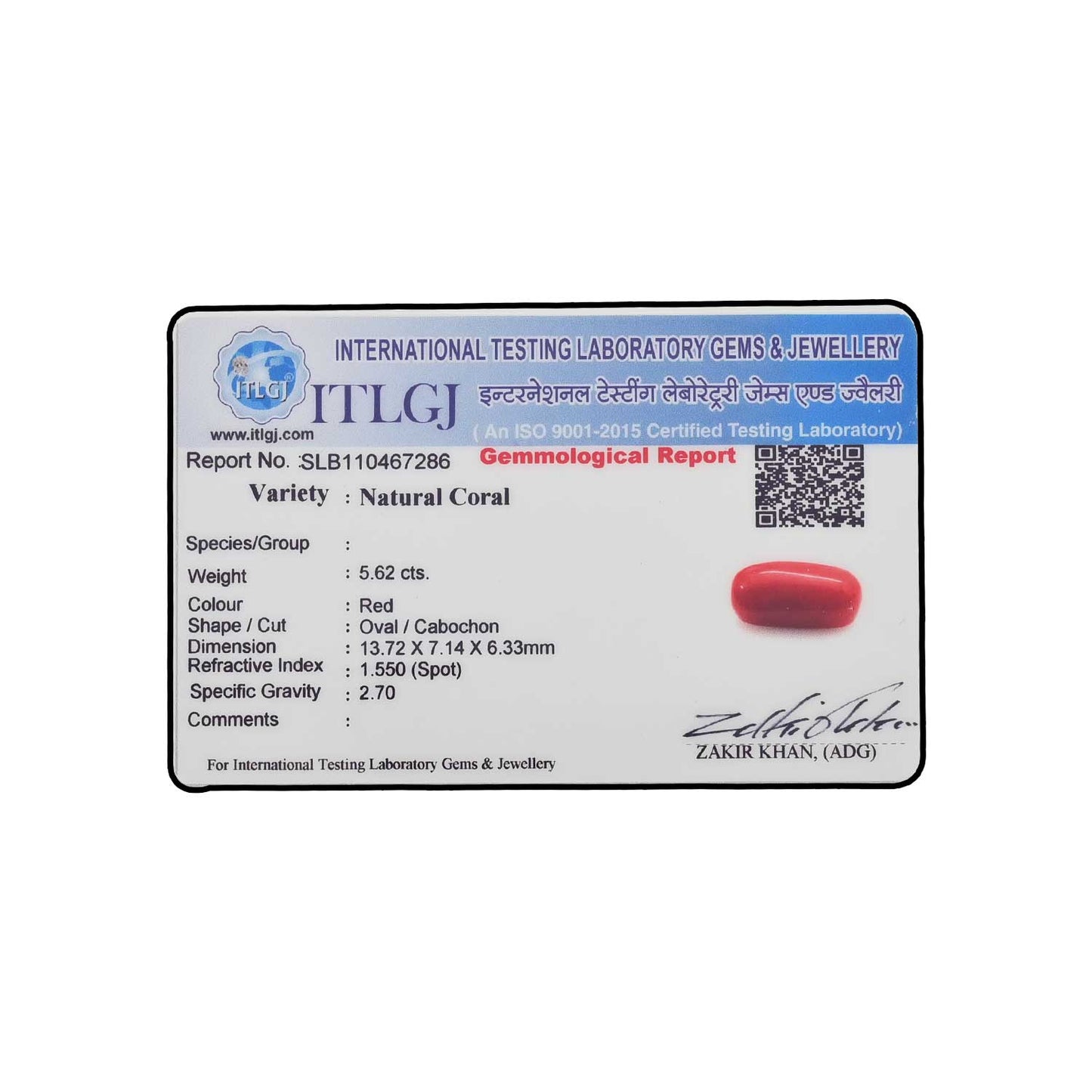 Red Coral (Moonga) - 5.62 Carat