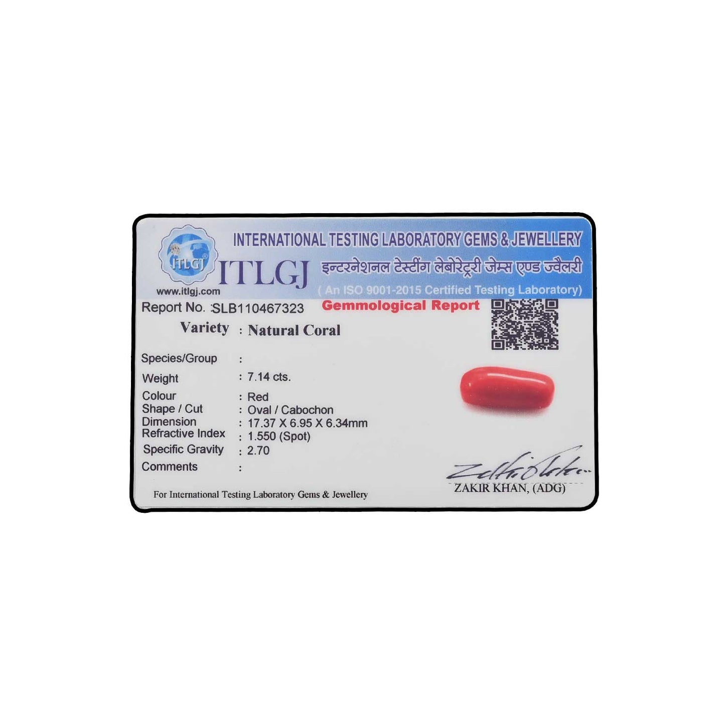 Red Coral (Moonga) - 7.14 Carat