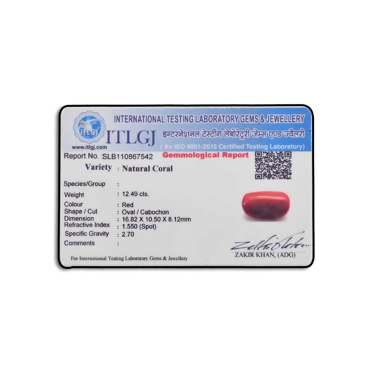 Red Coral (Moonga) - 12.49 Carat