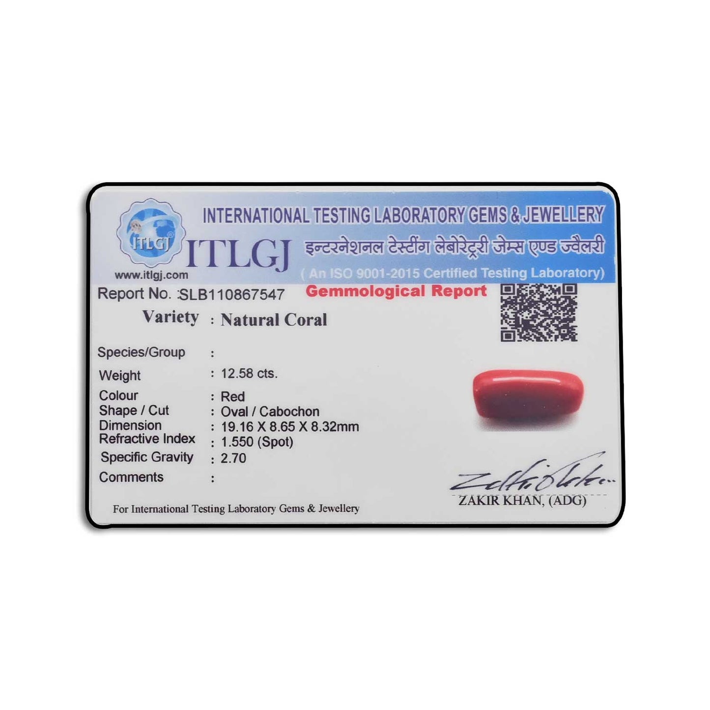 Red Coral (Moonga) - 12.58 Carat