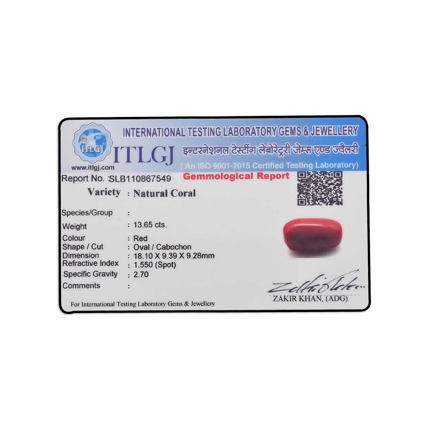 Red Coral (Moonga) - 13.65 Carat
