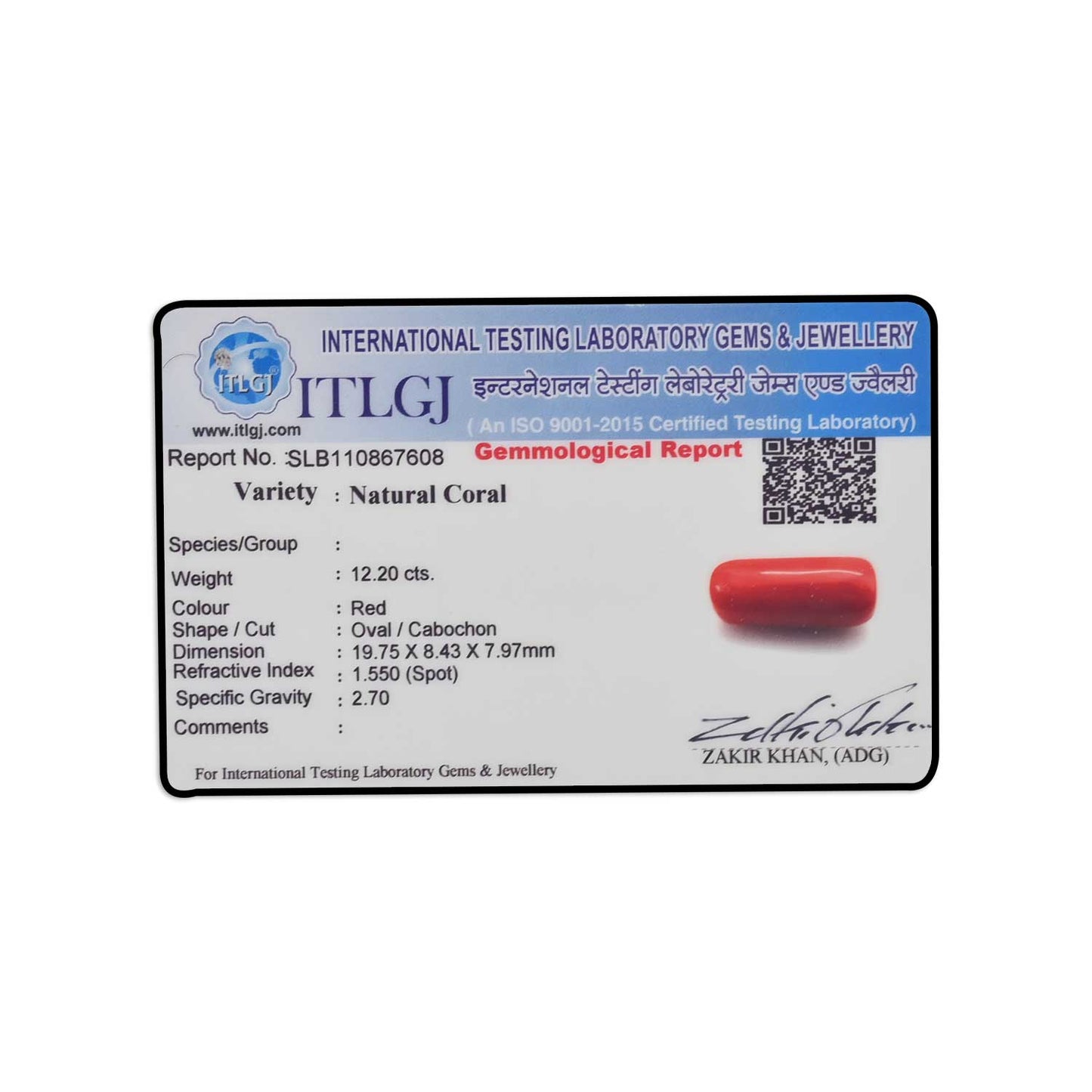 Red Coral (Moonga) - 12.2 Carat