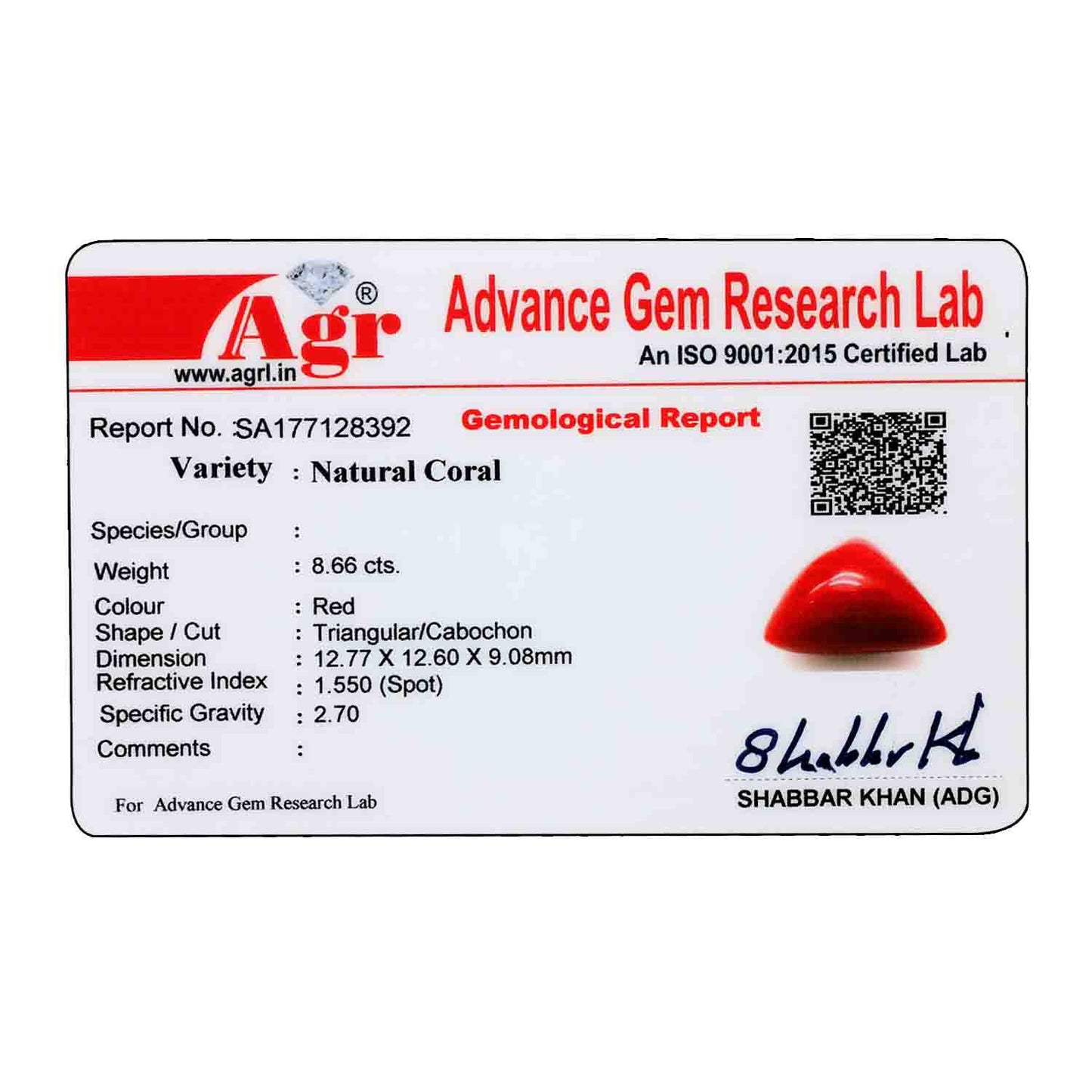 Red Coral (Moonga) - 8.66 Carat