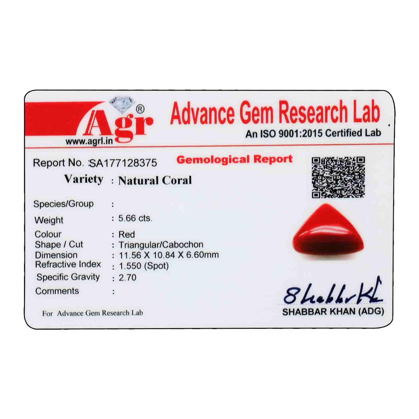 Red Coral (Moonga) - 5.66 Carat