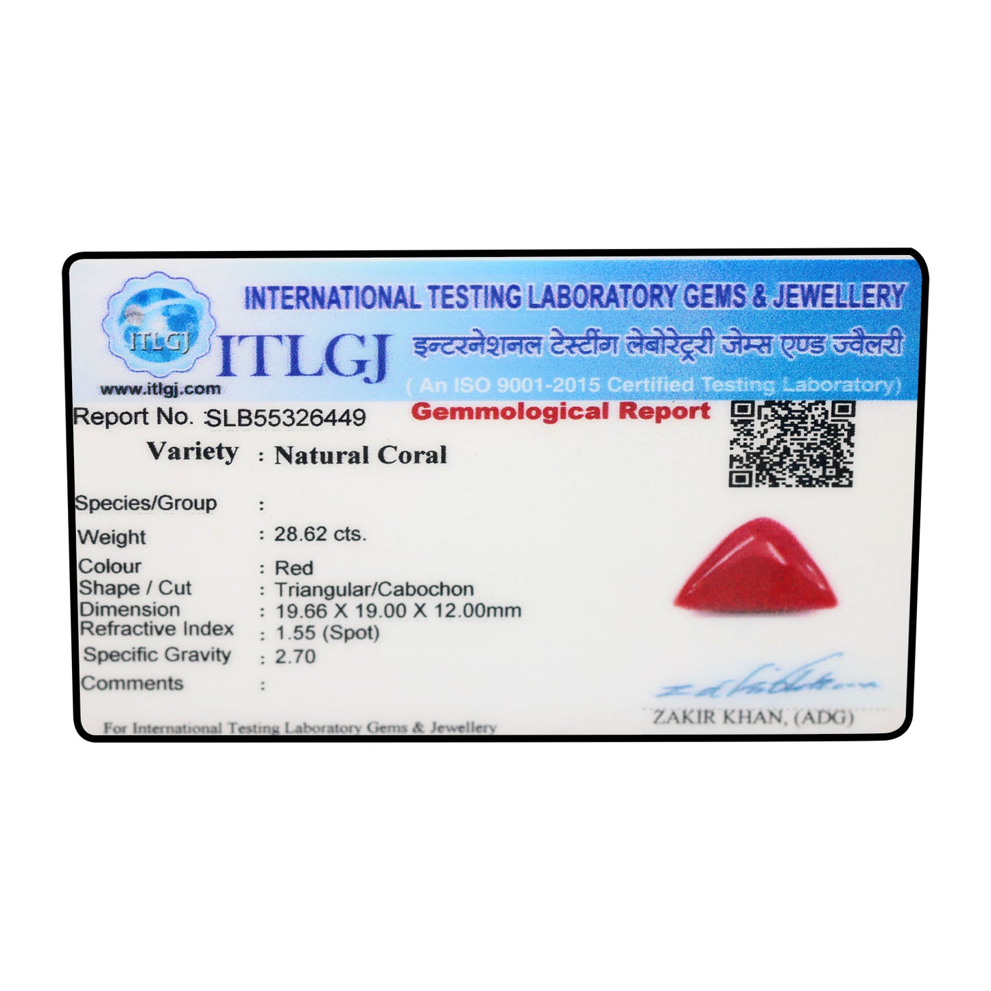 Red Coral (Moonga) - 28.62 Carat