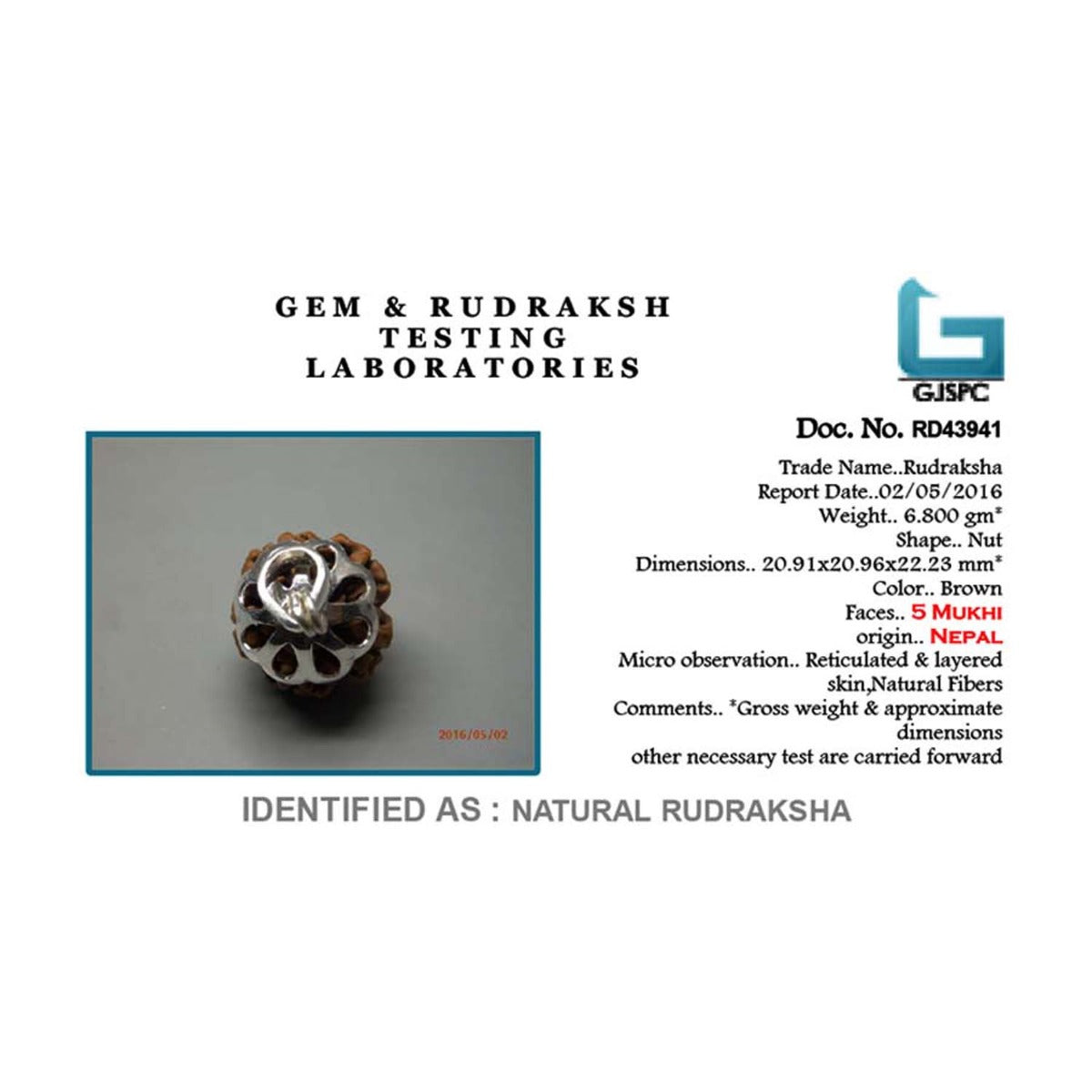 5 Mukhi Rudraksha Silver Pendant (Nepal)