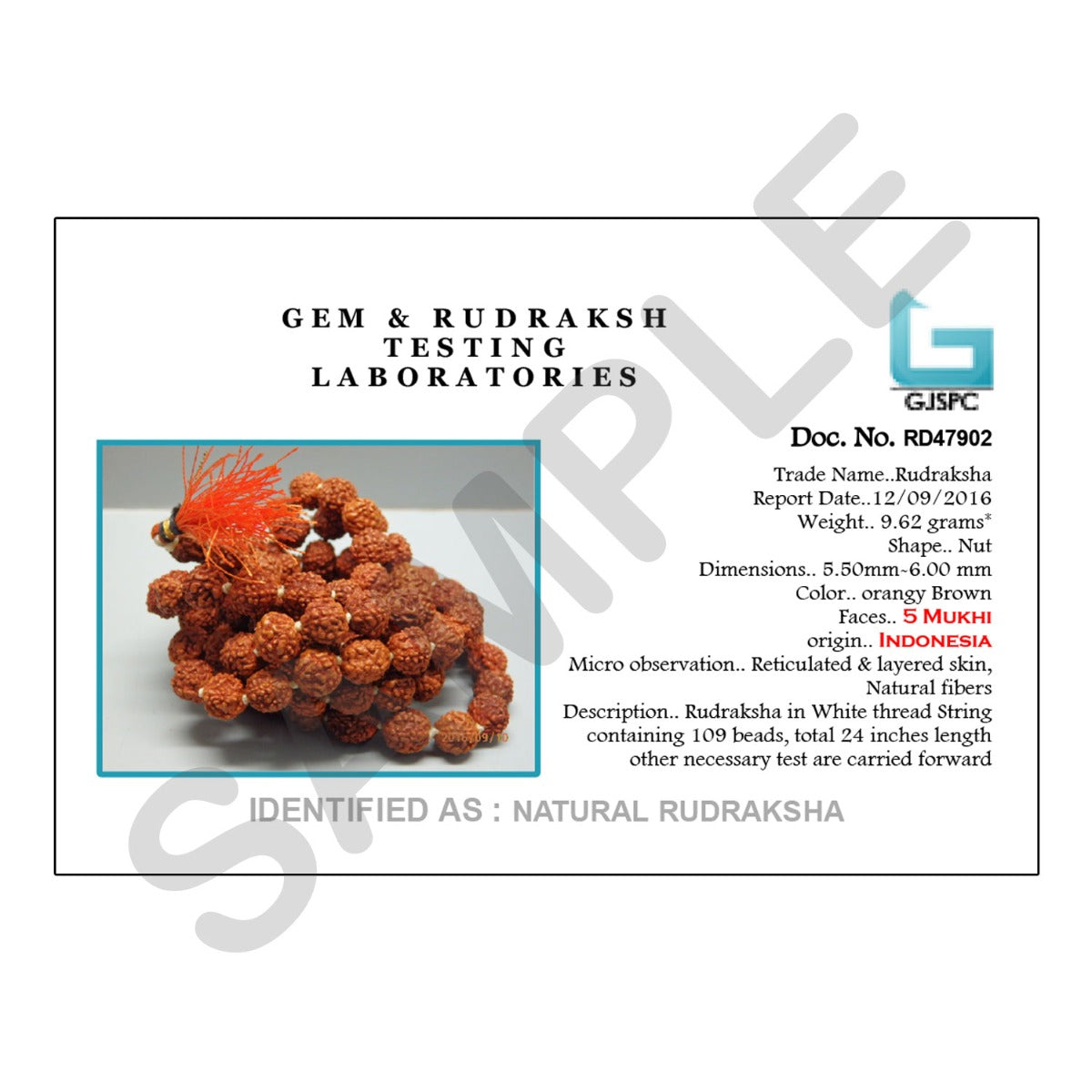 Original 5 Mukhi Rudraksha Jaap Mala (108+1 Beads) GJSPC Certified 5.50 - 6.00 M.M.