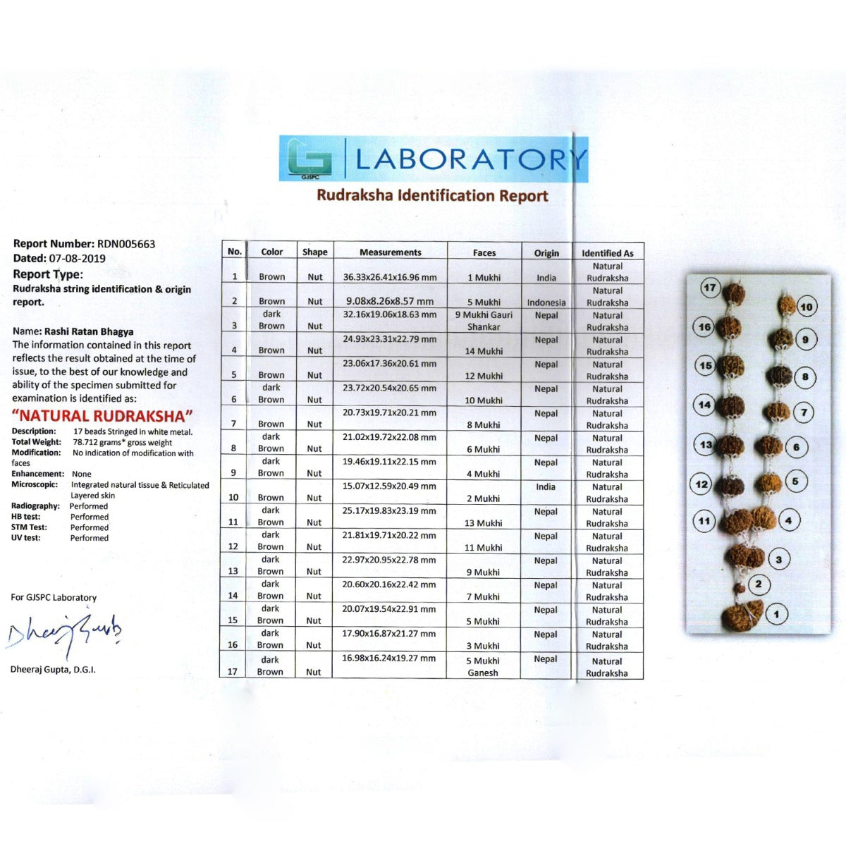 Rudraksha Silver Siddha Mala 1 to 14 Mukhi With Gauri Shankar, Ganesh Rudraksha GJSPC Certified