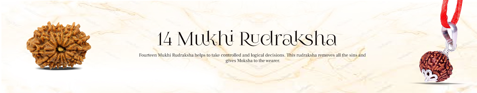 14 mukhi Rudraksha
