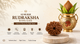 10 Mukhi Rudraksha Buying Guide: How to Choose the Right Bead