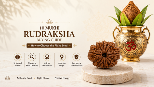 10 Mukhi Rudraksha Buying Guide