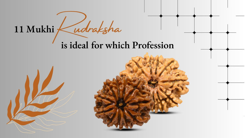 Eleven Mukhi Rudraksha Ideal For Which Profession?