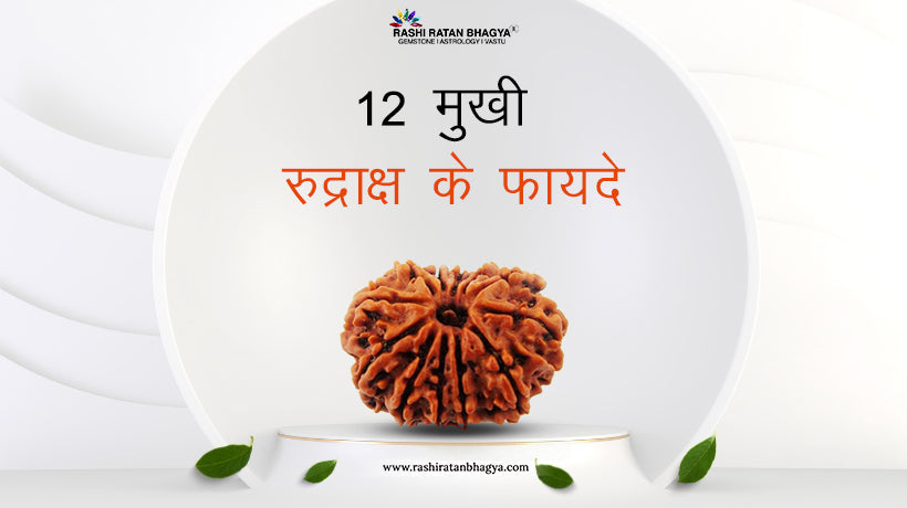 12 मुखी रुद्राक्ष के फायदे और नुकसान | 12 Mukhi Rudraksha Benefits in Hindi