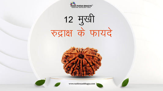 12 मुखी रुद्राक्ष के फायदे और नुकसान | 12 Mukhi Rudraksha Benefits in Hindi