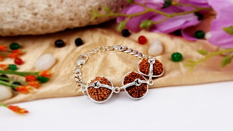 12 Mukhi Rudraksha Benefits and Significance