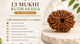 13 Mukhi Rudraksha Buying Guide: Everything You Need to Know Before Buying