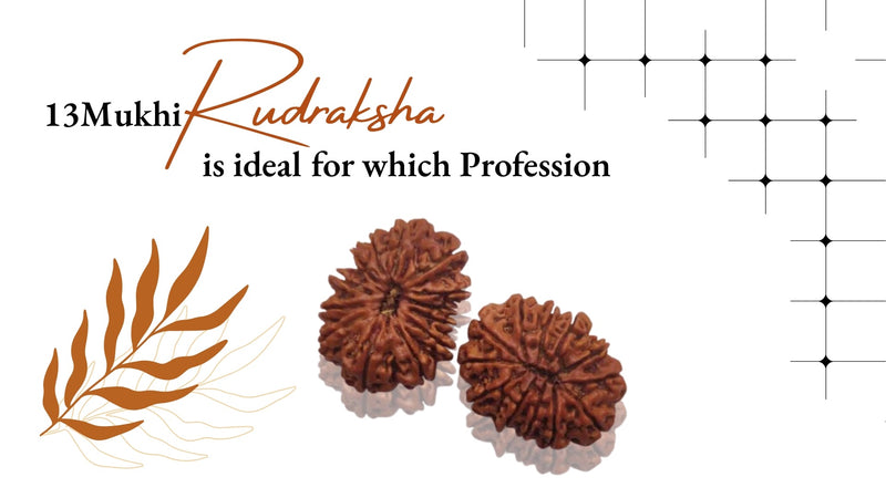 Thirteen Mukhi Rudraksha Ideal For Which Profession?