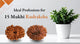 Ideal Professions of 15 Mukhi Rudraksha and Benefits