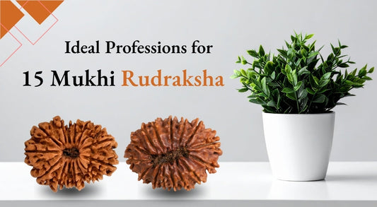15 mukhi rudraksha