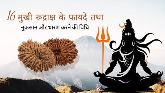 16 मुखी रूद्राक्ष के फायदे तथा नुकसान और धारण करने की विधि