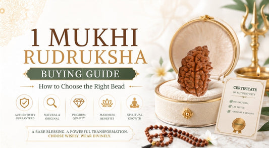 1 Mukhi Rudraksha Buying Guide