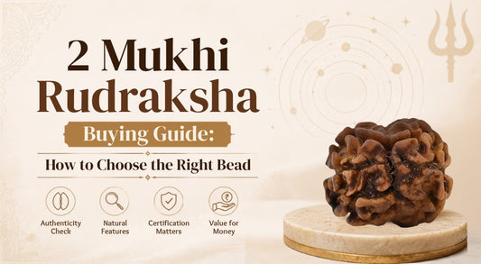 2 Mukhi Rudraksha Buying Guide