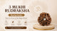 3 Mukhi Rudraksha Buying Guide: How to Choose the Right Bead