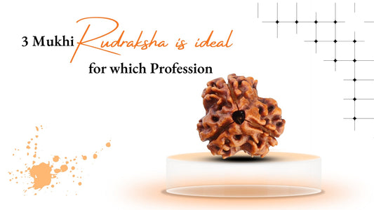 Three Mukhi Rudraksha Ideal For Which Profession?