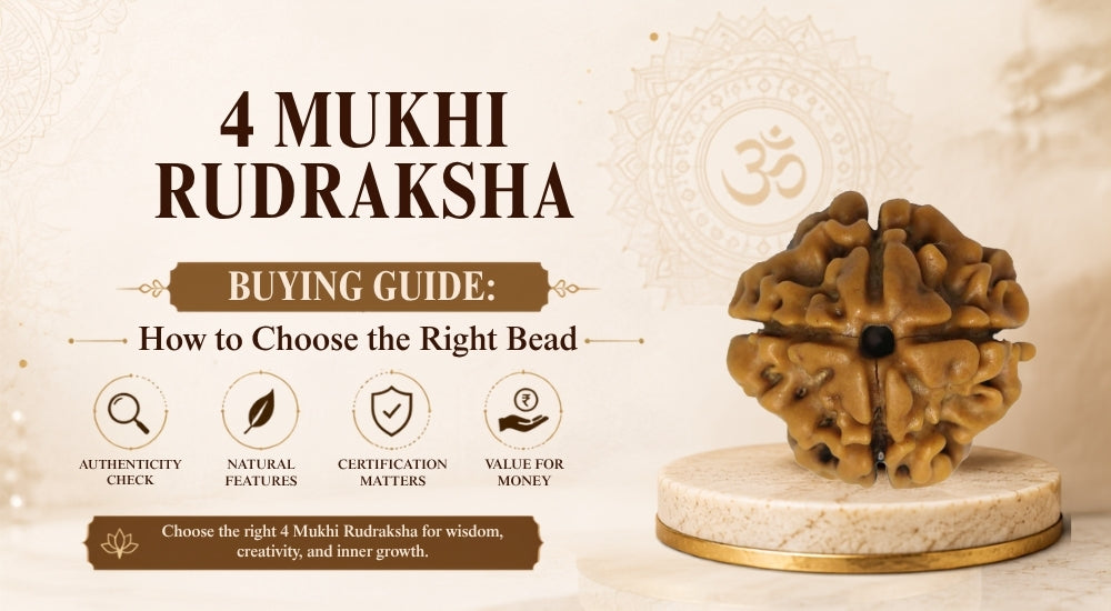 4 Mukhi Rudraksha Buying Guide