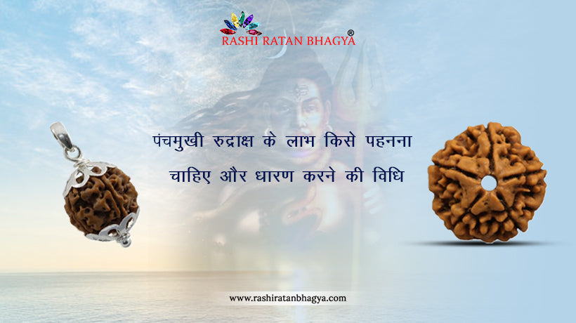 पंचमुखी रुद्राक्ष पहनने के फायदे और नुकसान | 5 Mukhi Rudraksha Benefits in Hindi