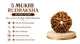 5 Mukhi Rudraksha Buying Guide