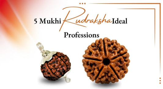5 Mukhi Rudraksha For Ideal Professions