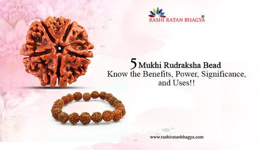 5 Mukhi Rudraksha Benefits For Everyone