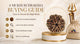 6 Mukhi Rudraksha Buying Guide: How to Choose the Right Bead