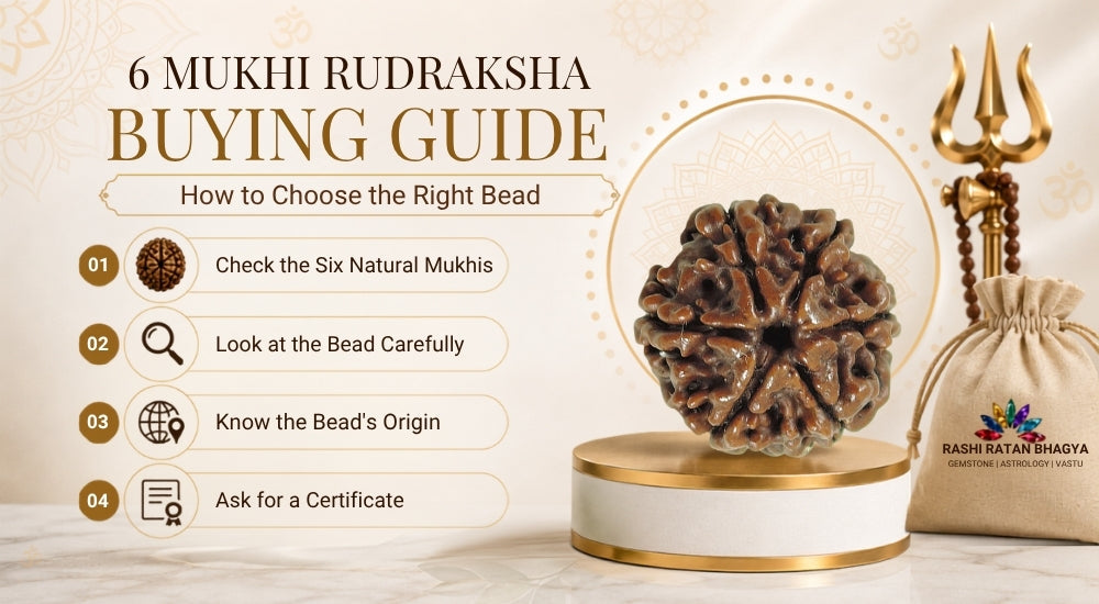 6 Mukhi Rudraksha Buying Guide