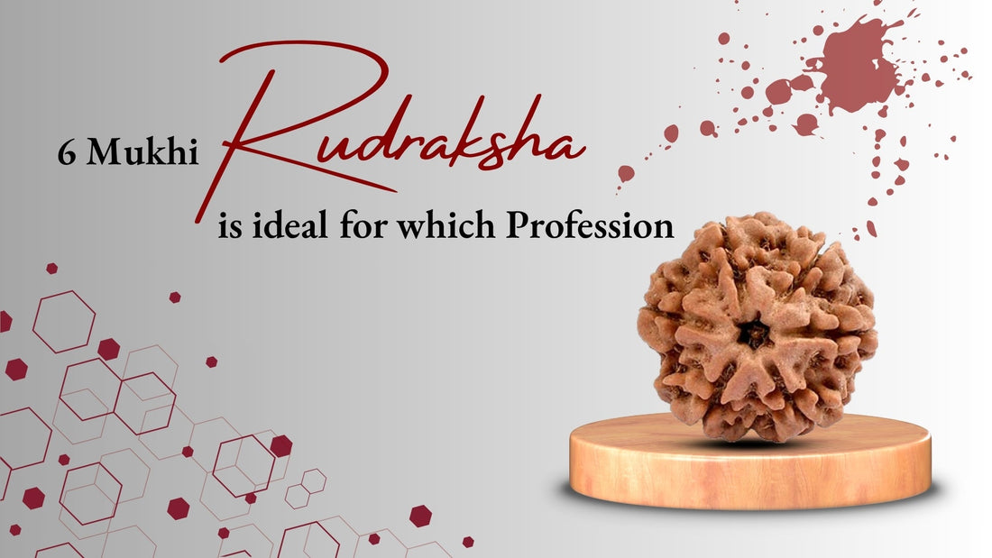 Six Mukhi Rudraksha Ideal For Which Profession?