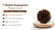 7 Mukhi Rudraksha Buying Guide: How to Choose the Right Bead