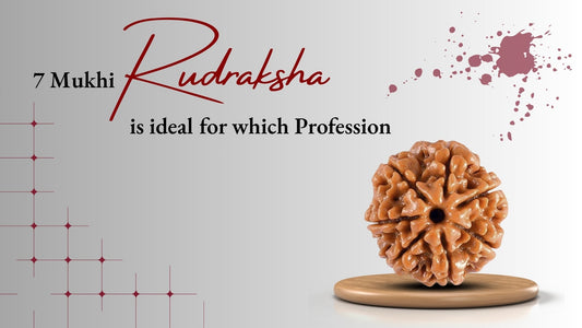 Seven Mukhi Rudraksha Ideal For Which Profession?