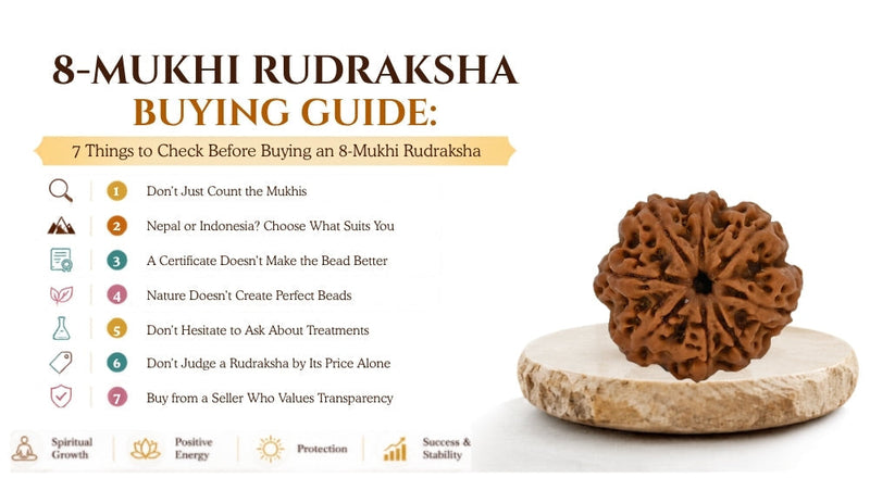 8 Mukhi Rudraksha Buying Guide: How to Choose the Right Bead