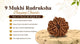 9 Mukhi Rudraksha Buying Guide: How to Choose the Right Bead