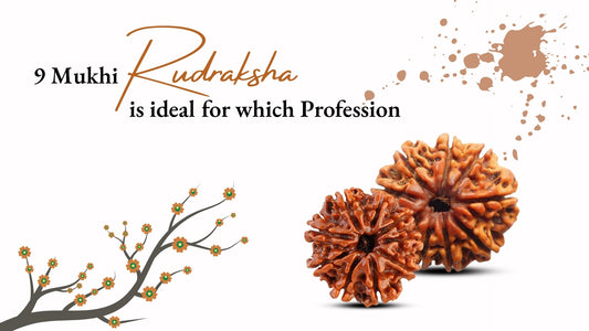 Nine Mukhi Rudraksha Ideal For Which Profession?