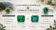 Colombian Emerald vs Zambian Emerald: Benefits, Quality, and Price