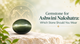 Gemstone for Ashwini Nakshatra: Which Stone Should You Wear?