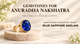 Gemstones for Anuradha Nakshatra: Which Stone You Should Wear