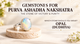 Gemstones for Purva Ashadha Nakshatra: Which Stone You Should Wear?