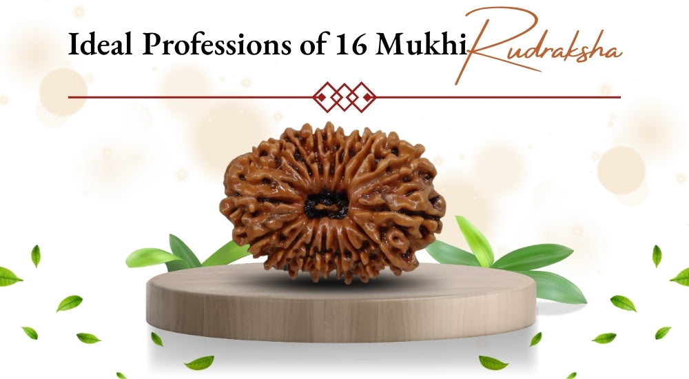 Ideal Professions of 16 Mukhi Rudraksha