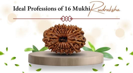 Ideal Professions of 16 Mukhi Rudraksha