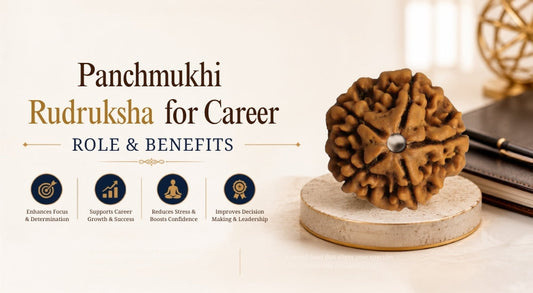 Panchmukhi Rudraksha for Career